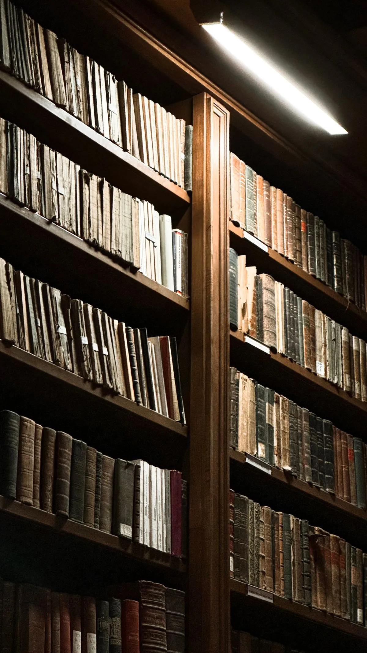 Registre parohiale vechi și cărți de arhivă așezate pe rafturile unei biblioteci