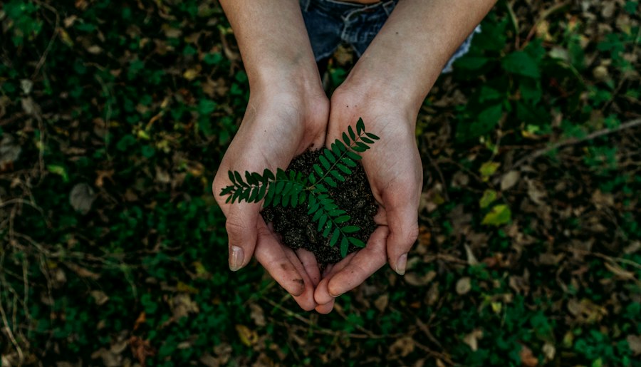 conservation