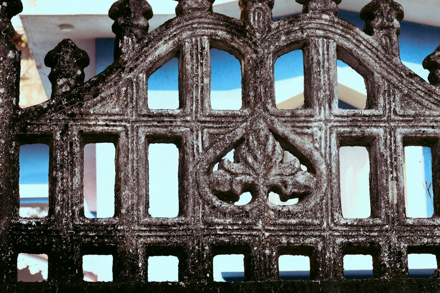 Photo symbolism ornament gates peasant