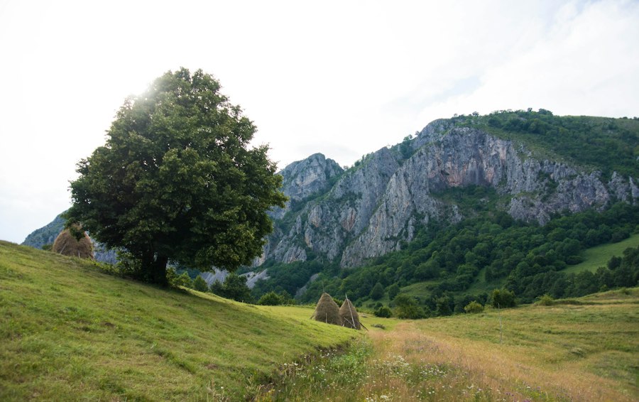 Photo Transilvania