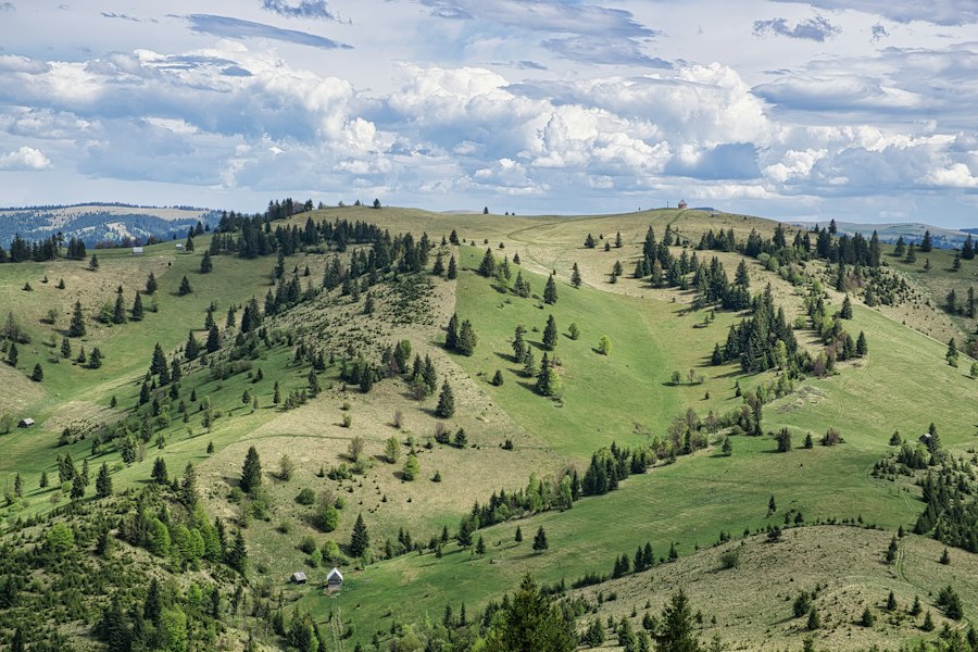 Transilvania