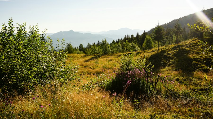 local stories, mountain landscape, Transylvania